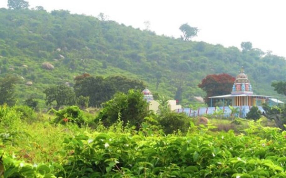 Yelagiri Velavan Temple Landscape Image